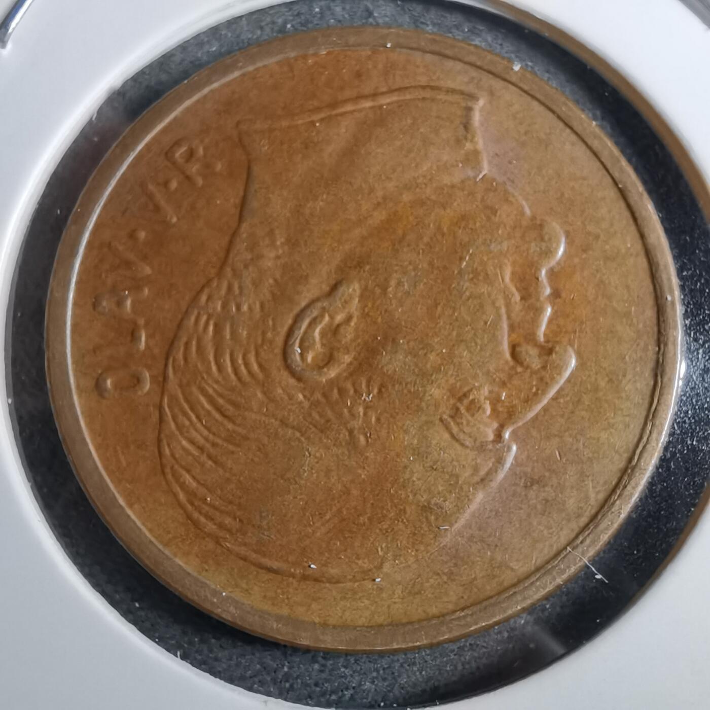 沼泽如烟--第892场