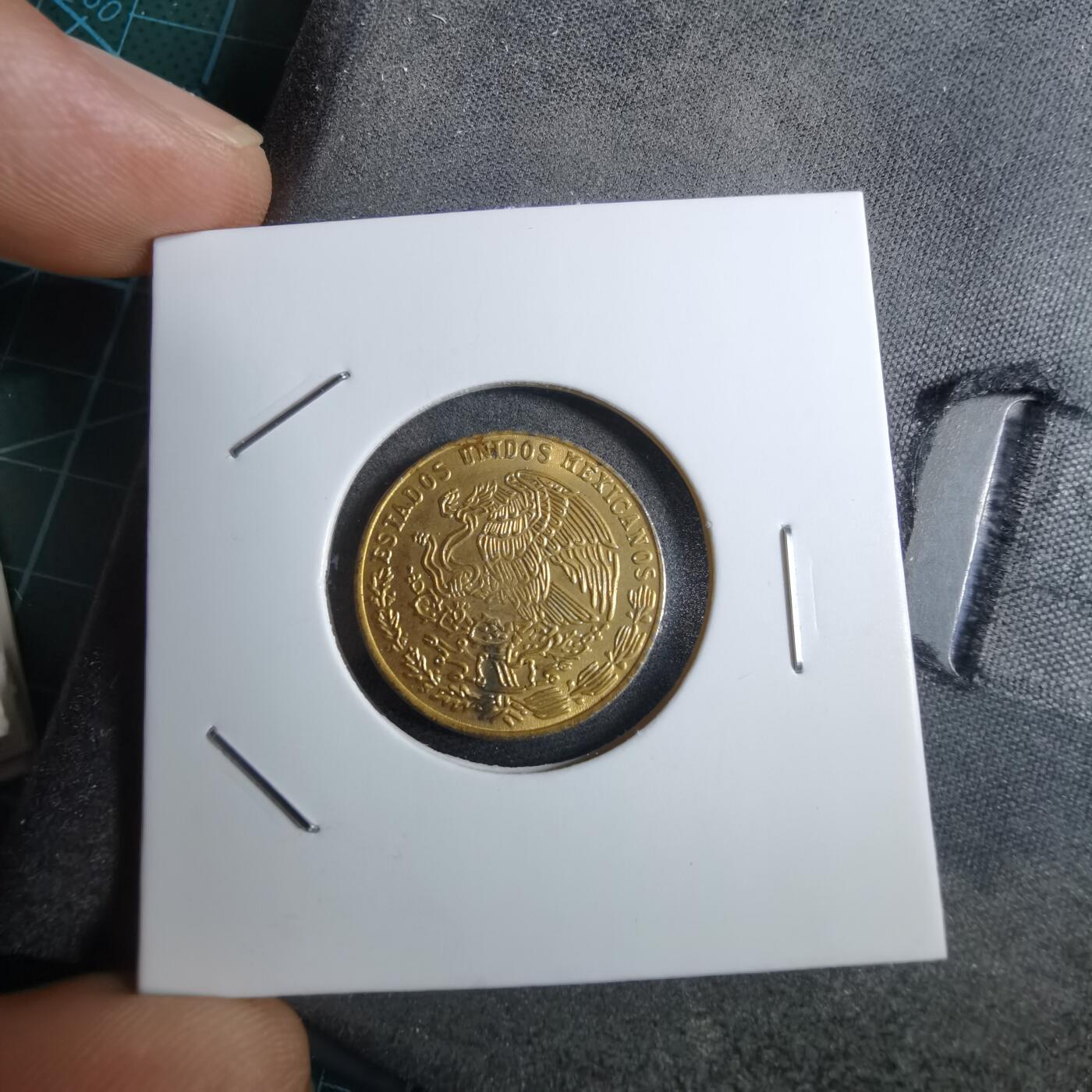 沼泽如烟--第892场