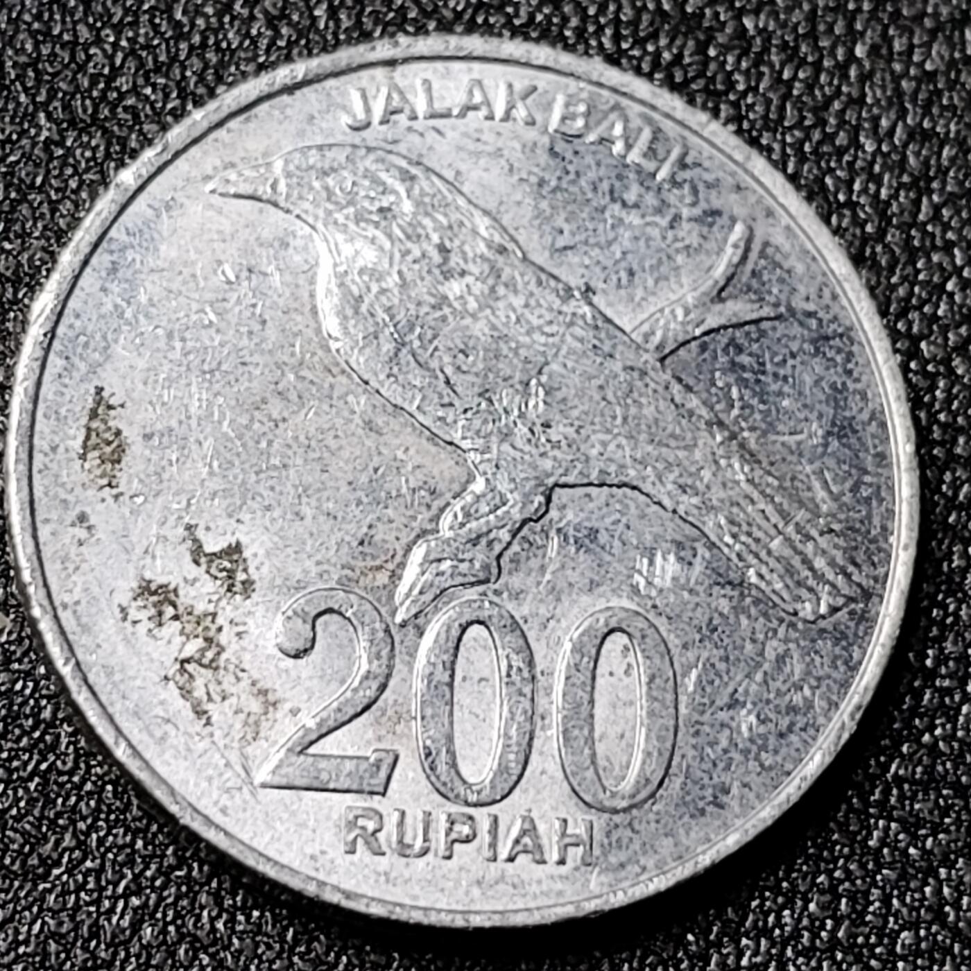 泉币菌-第124场-精品福利场(115场之后的本周末发货，感谢理解) 。