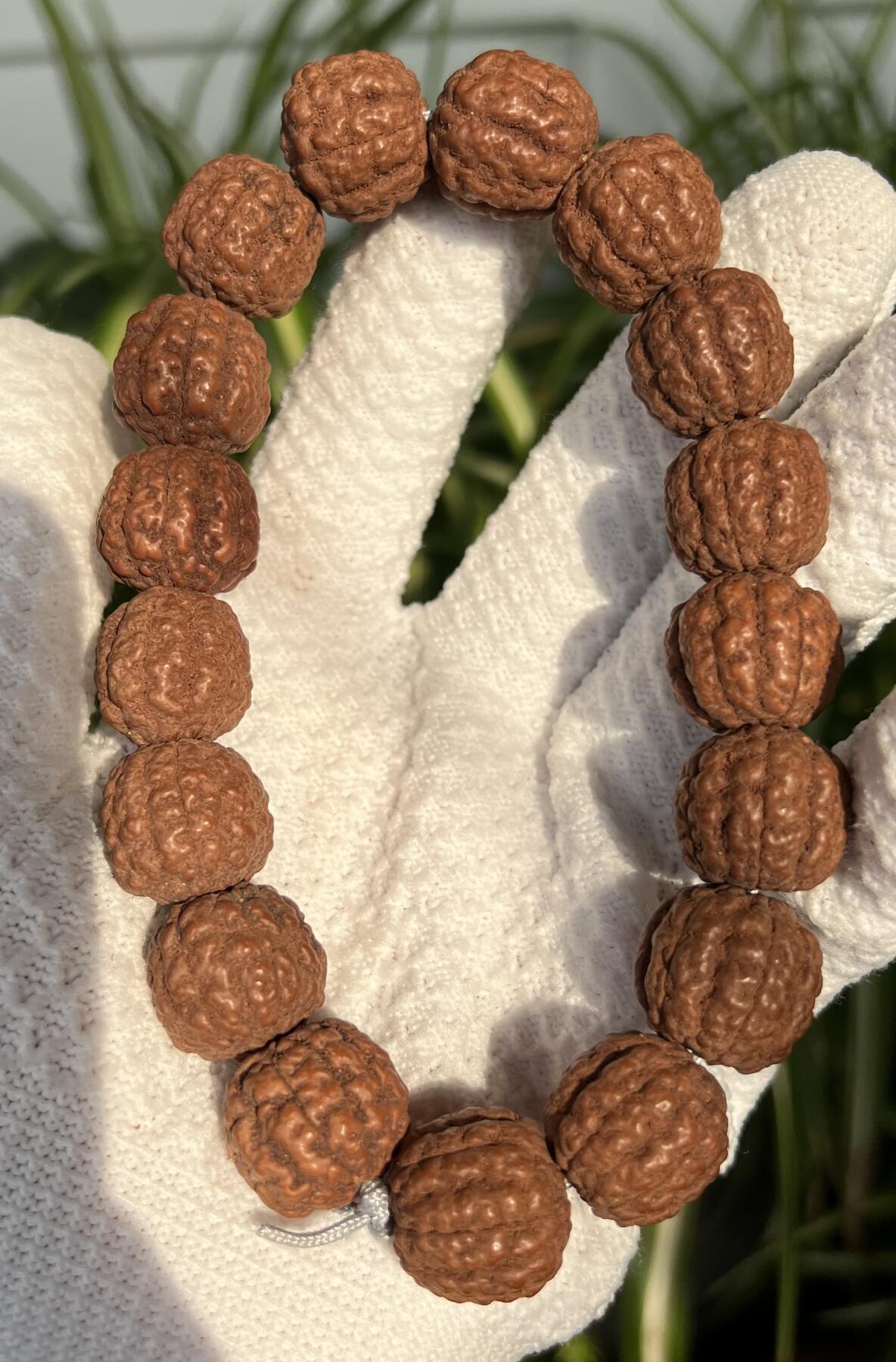 零元拍：碧根果 纯原生态金刚手持 17/18 超肉头 上手就红