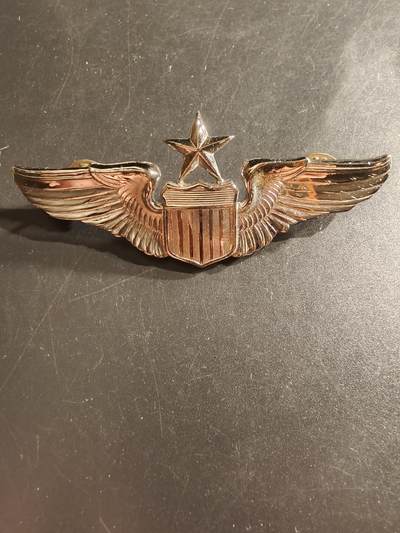 老王徽章第161期 - 美国空军飞行员中级技能章    3英寸