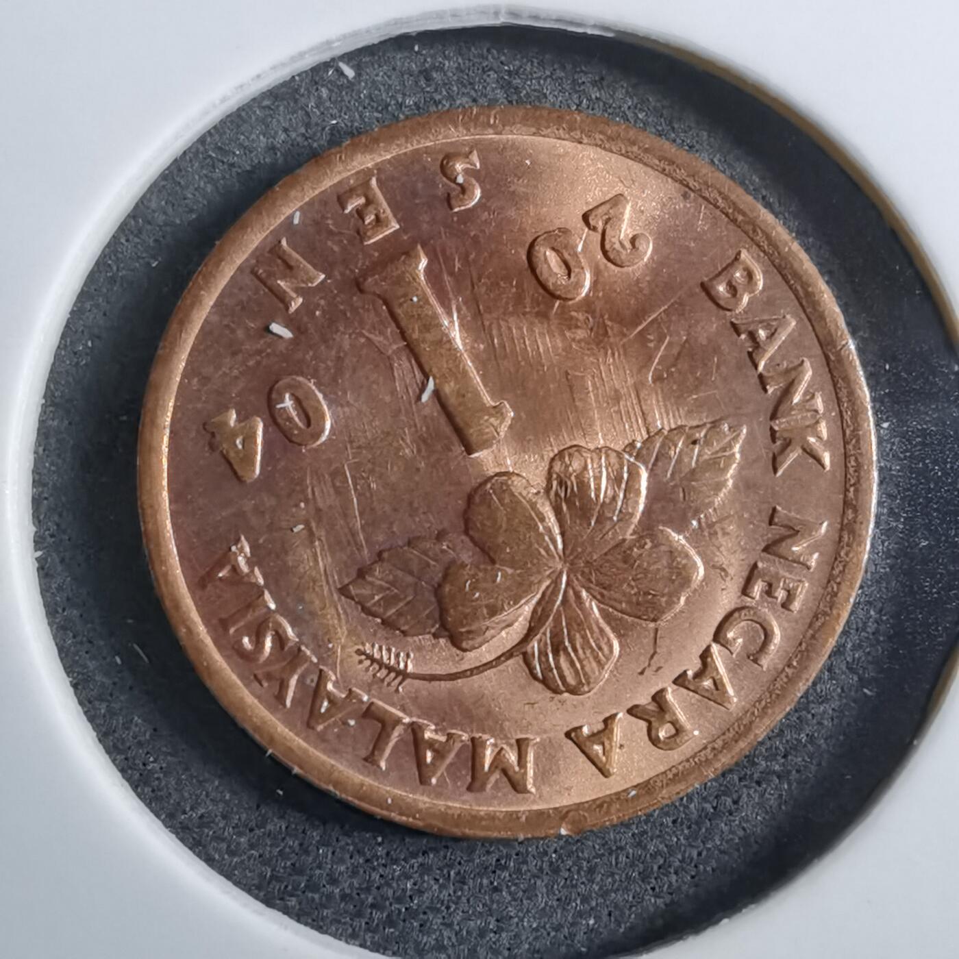 沼泽如烟--第892场