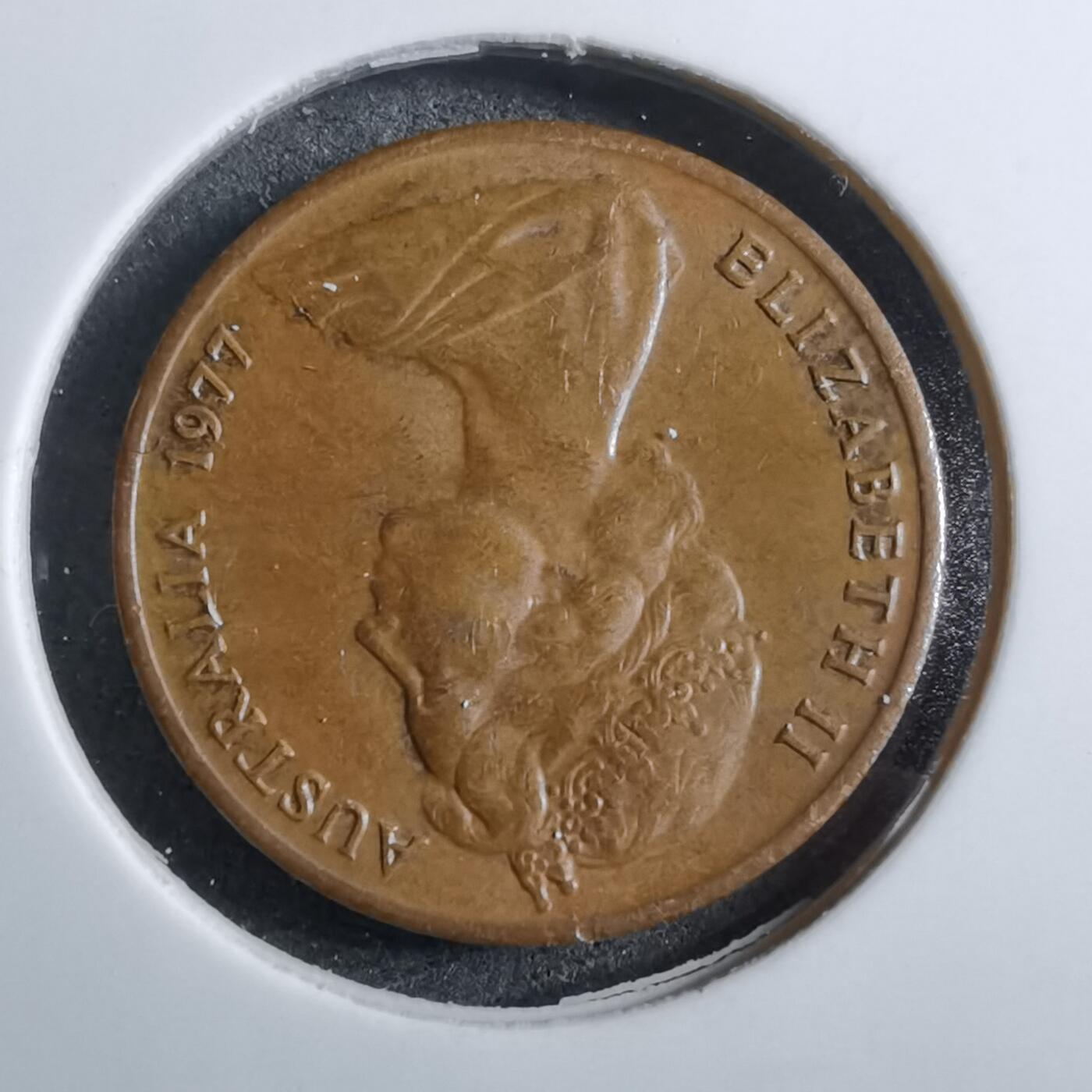 沼泽如烟--第892场