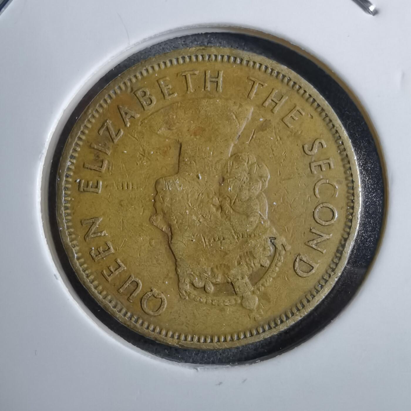 沼泽如烟--第892场