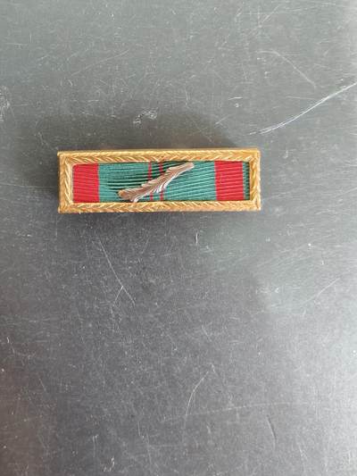 老王徽章第161期 - 美国陆军越南民事行动集体嘉奖勋略