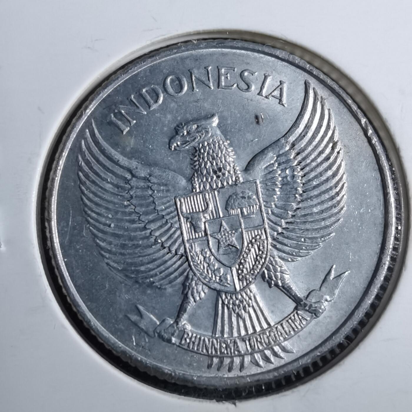 沼泽如烟--第892场