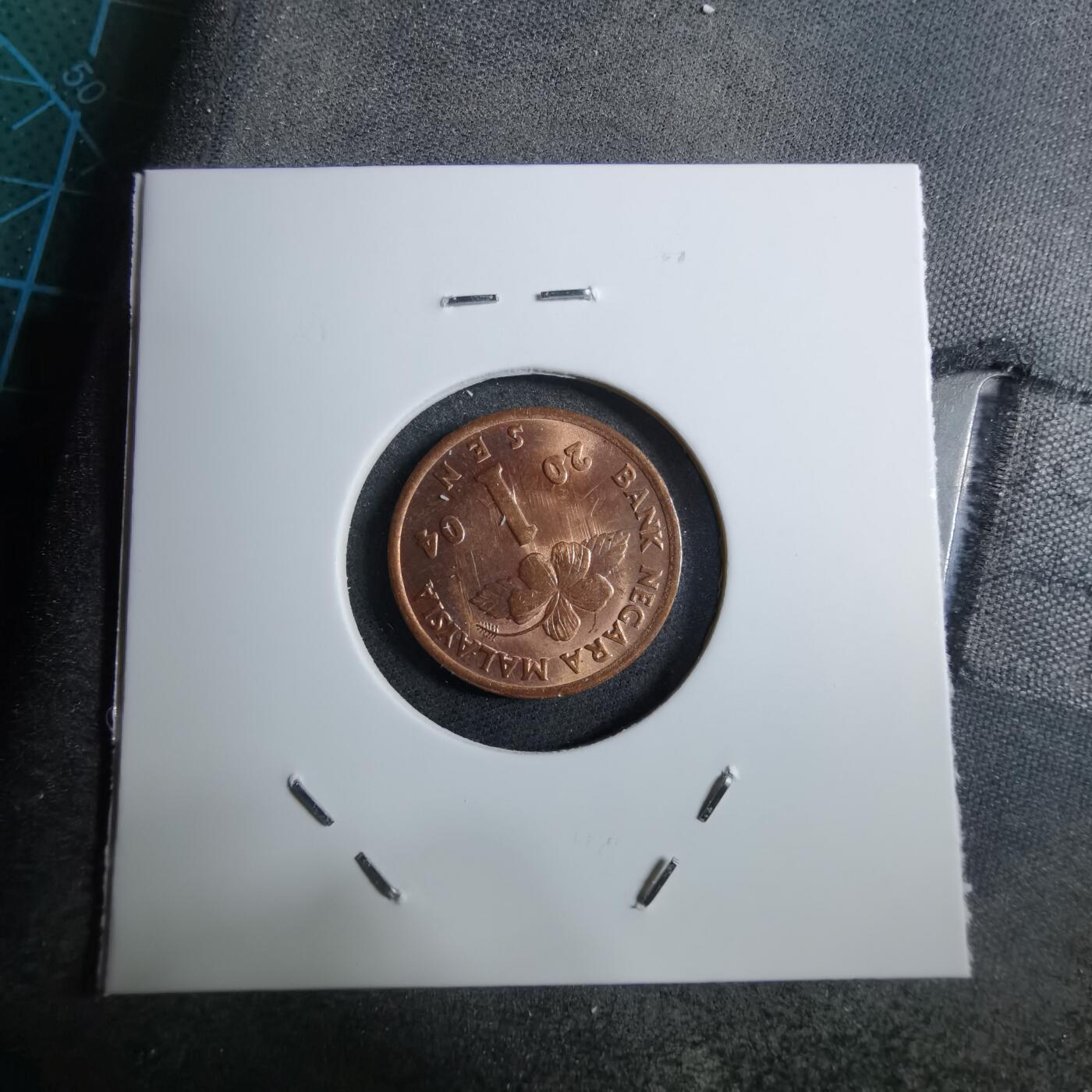 沼泽如烟--第892场