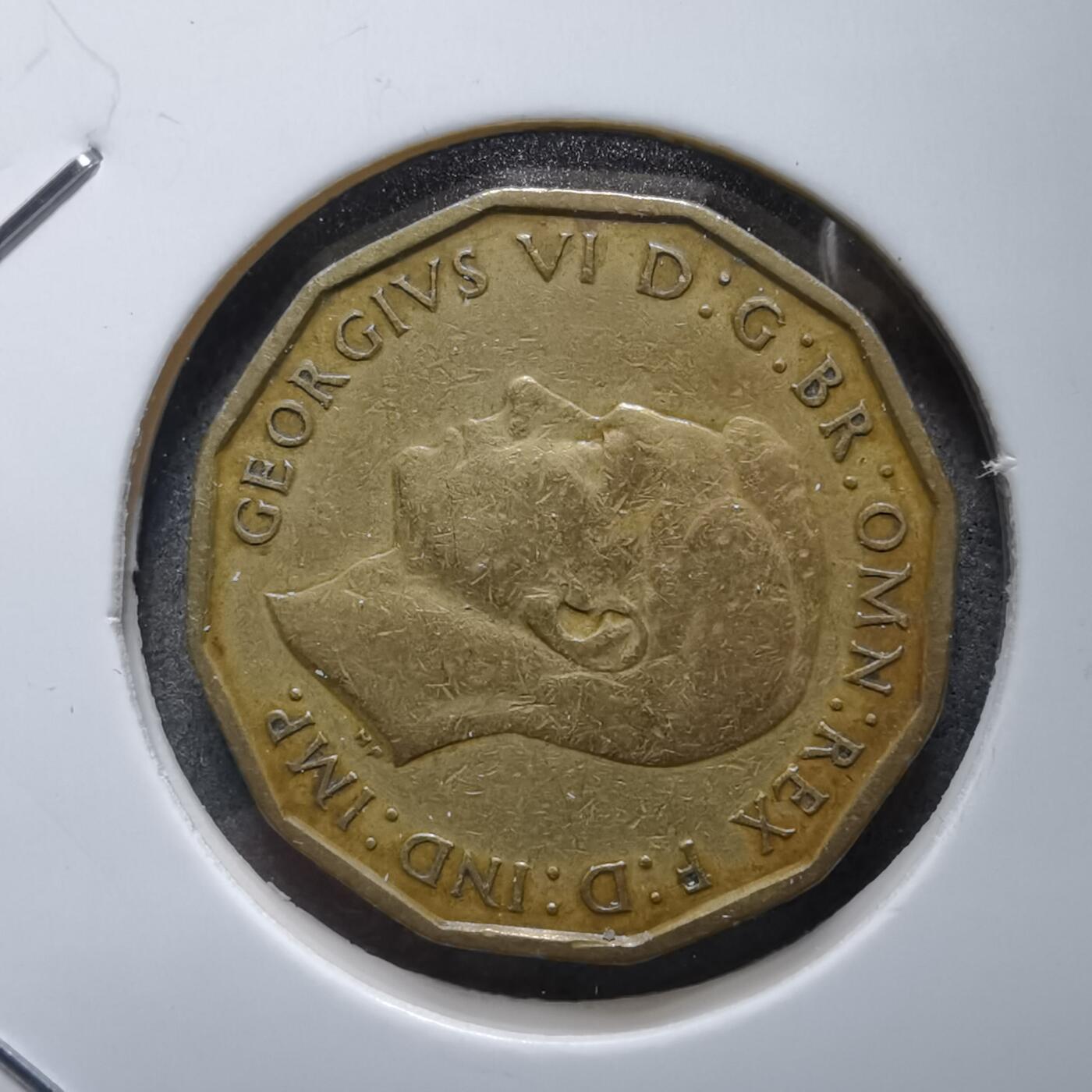 沼泽如烟--第892场