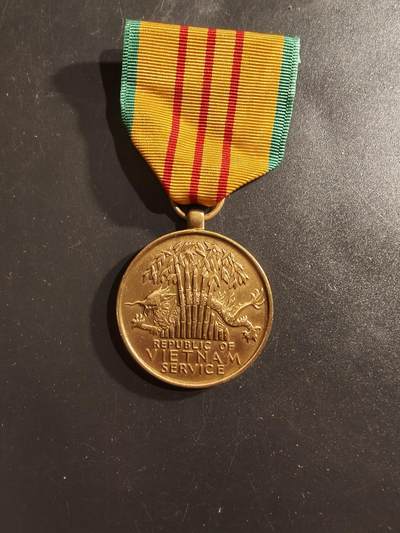 老王徽章第161期 - 美国越战服役奖章