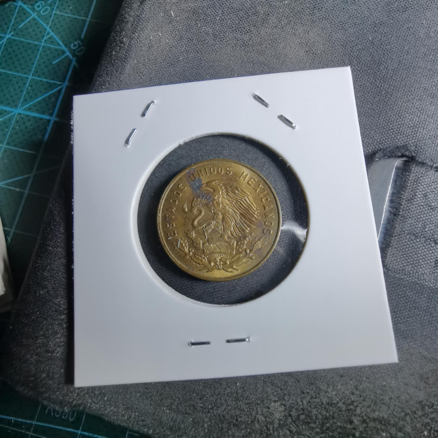 沼泽如烟--第892场