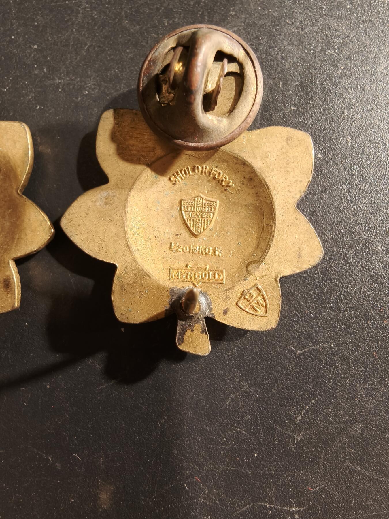 老王徽章第161期