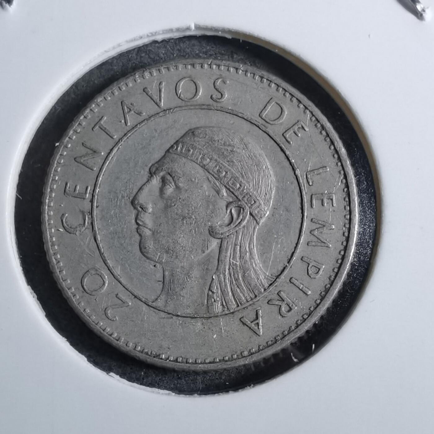 沼泽如烟--第892场