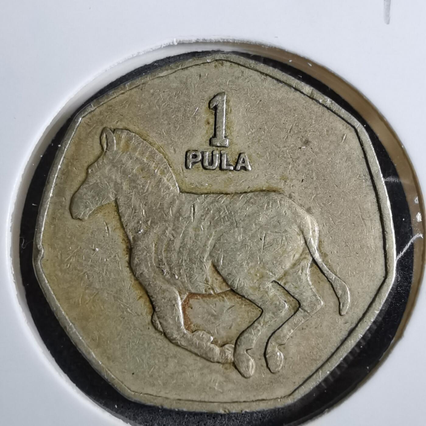 沼泽如烟--第892场