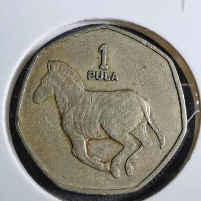 沼泽如烟--第892场 - 博茨瓦纳1997年1普拉