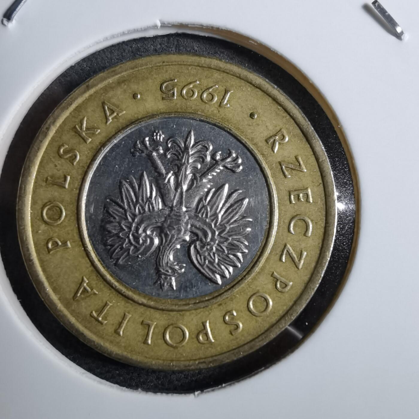 沼泽如烟--第892场