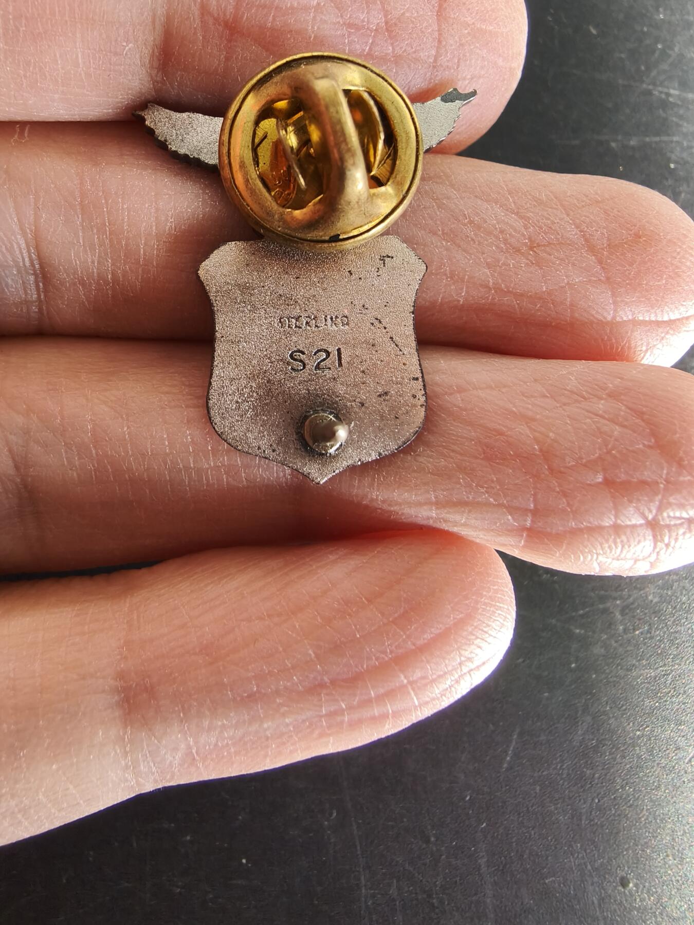 老王徽章第161期