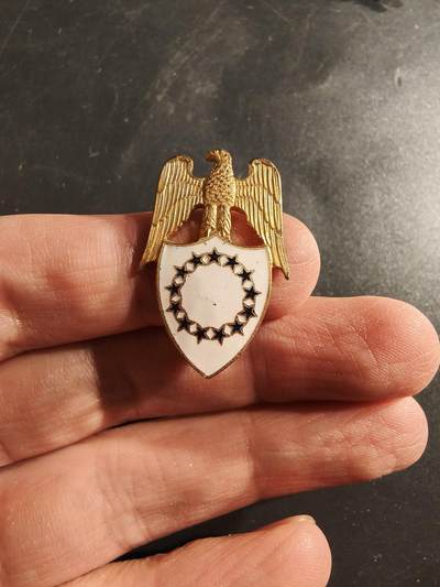 老王徽章第161期 - 美国陆军副总统勤务副官领章      带厂标    1.25英寸