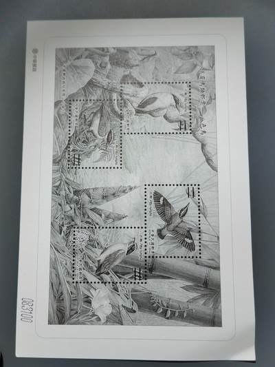 PCAI钱币6-583 中国台湾省邮票小专场 - 鸟