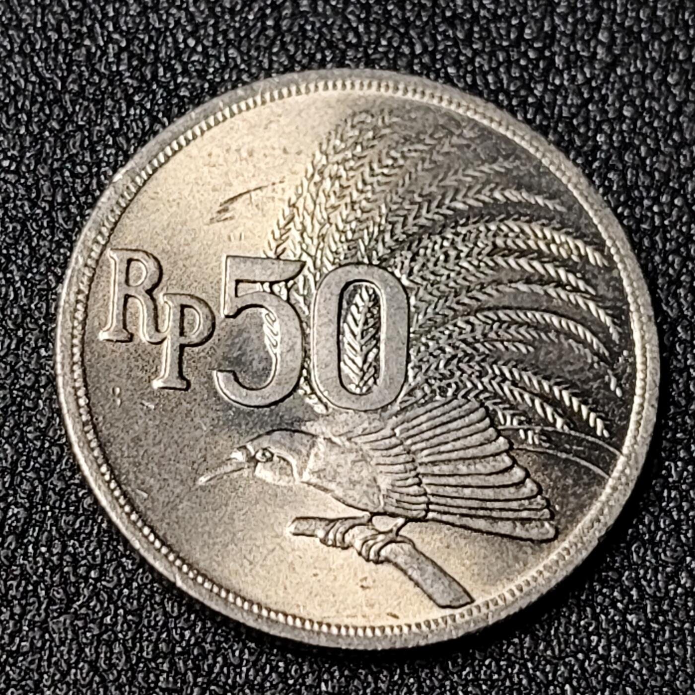 泉币菌-第124场-精品福利场(115场之后的本周末发货，感谢理解) 。