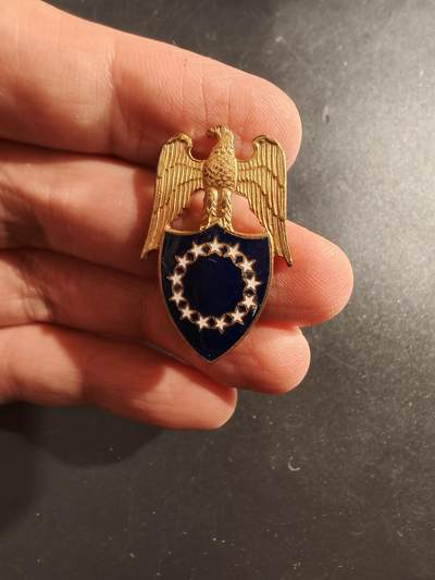 老王徽章第161期 - 美国三军总统勤务助理领章     带厂标      1.25英寸     该人员常驻白宫，在许多白宫活动中扮演重要角色，协助总统处理国事活动中的外交礼仪。 