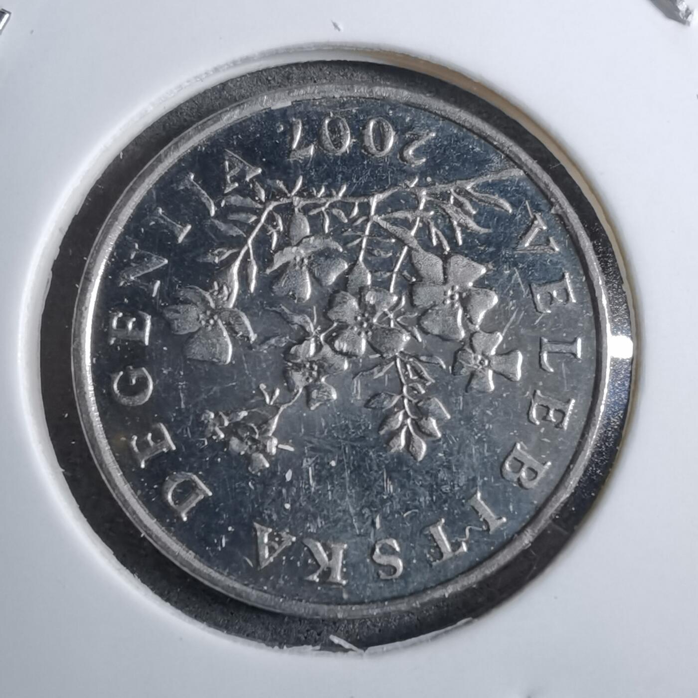 沼泽如烟--第892场