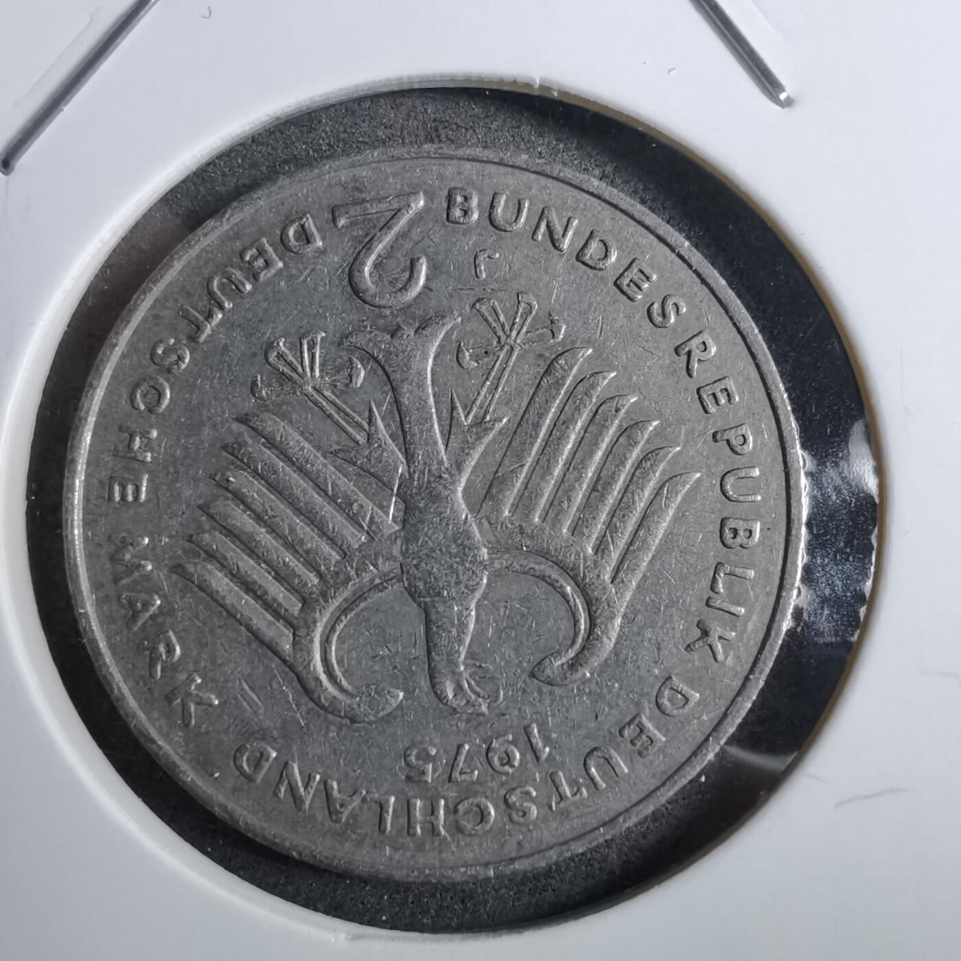 沼泽如烟--第892场