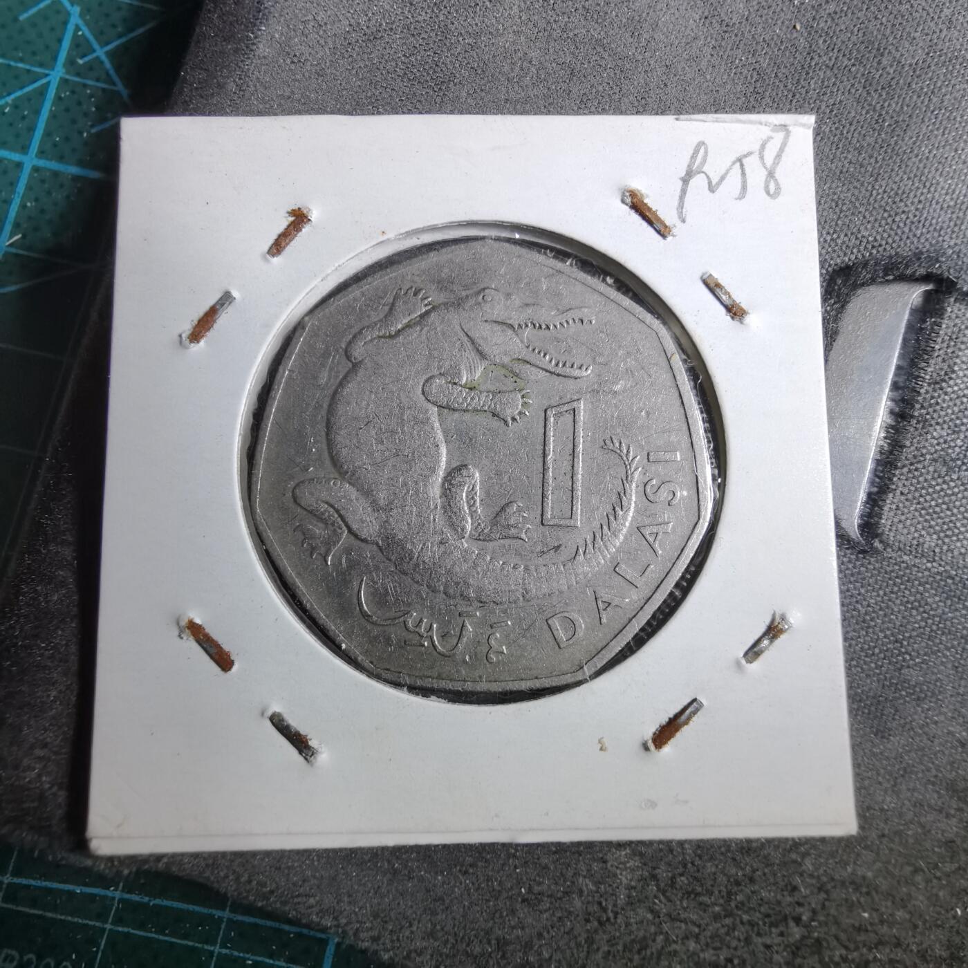 沼泽如烟--第892场