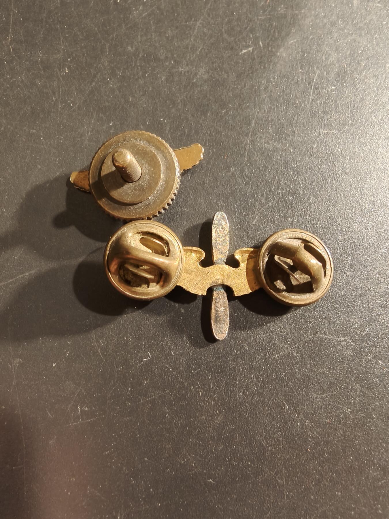 老王徽章第161期 美国空军领章一组    不同版本