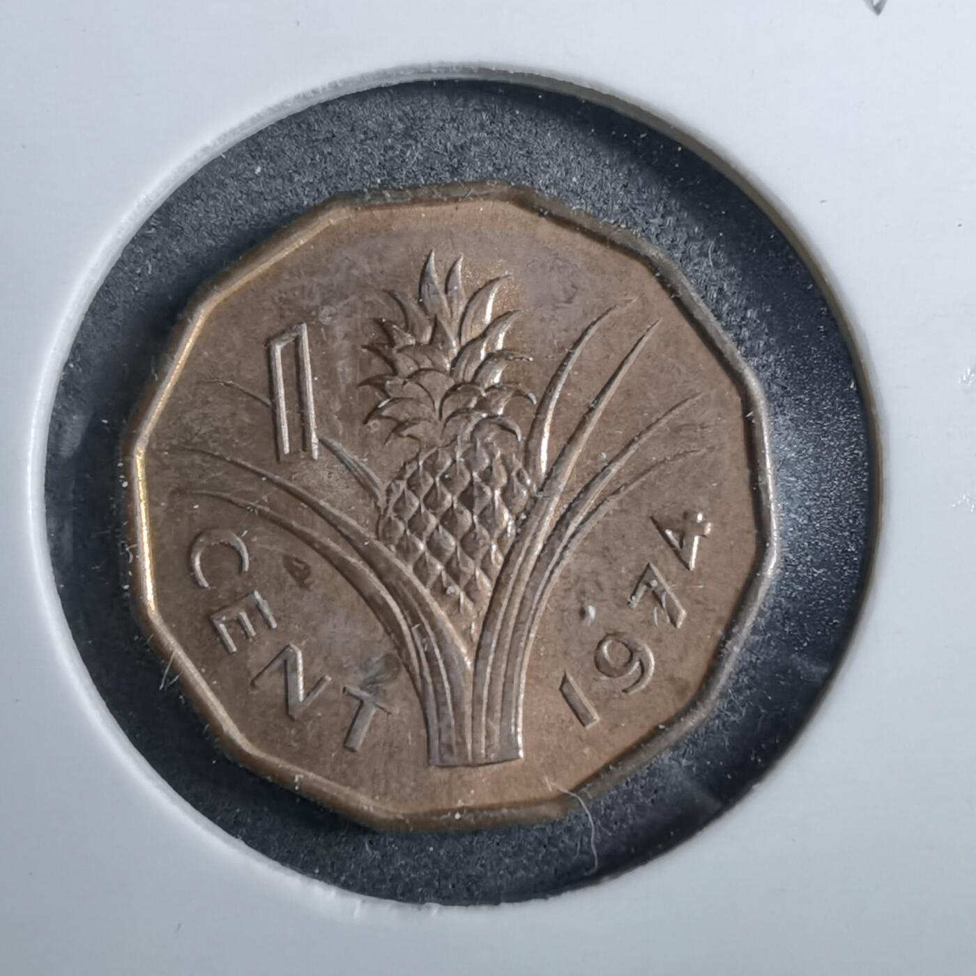 沼泽如烟--第892场