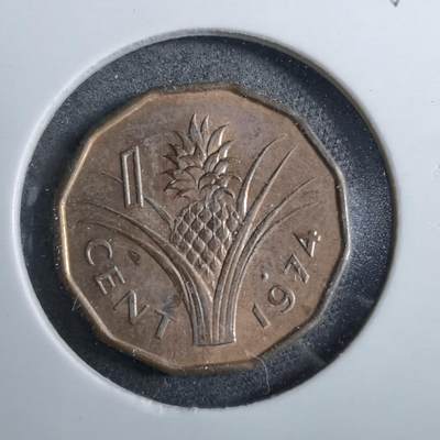 沼泽如烟--第892场 - 斯威士兰1974年一分