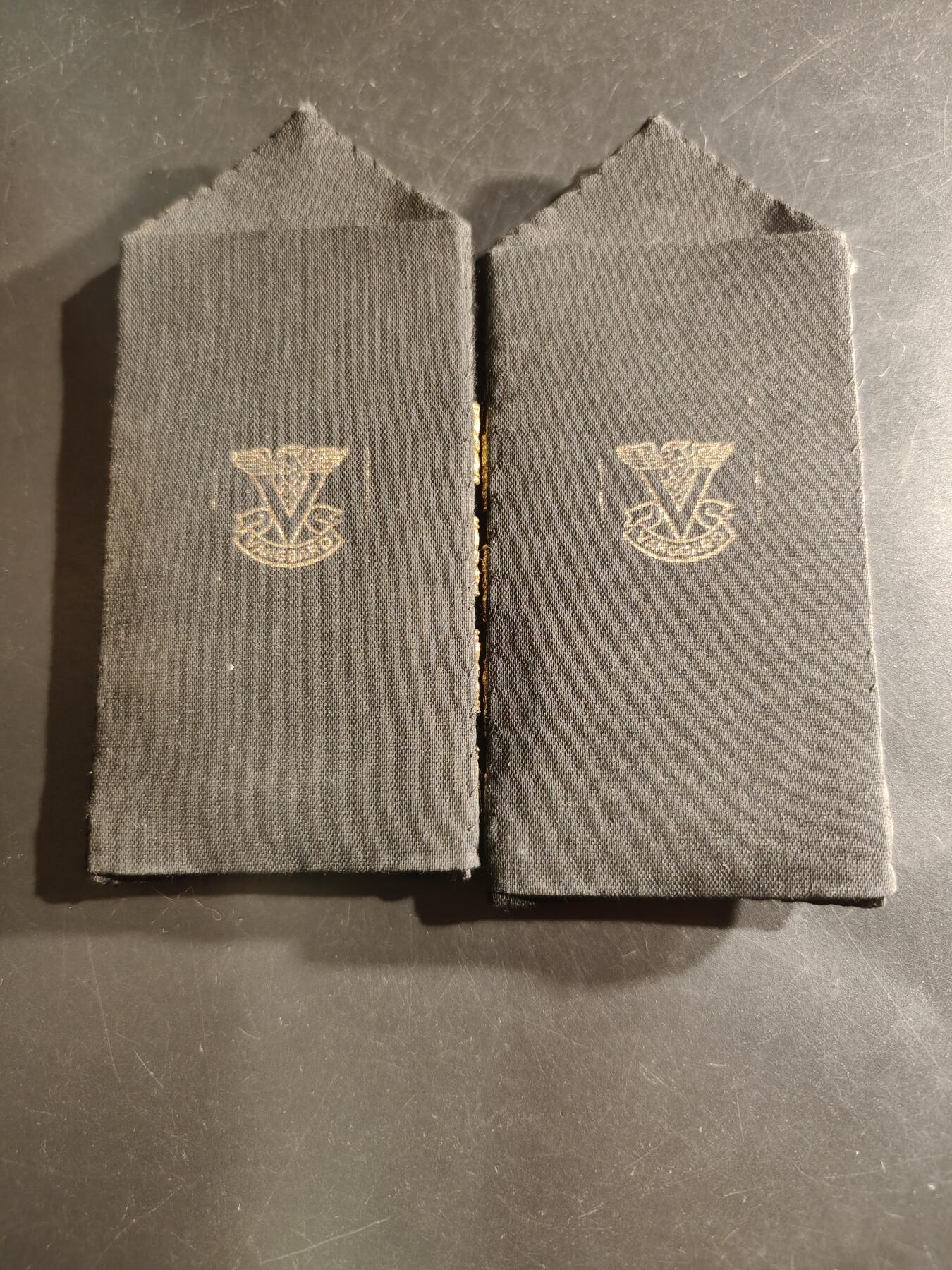 老王徽章第161期