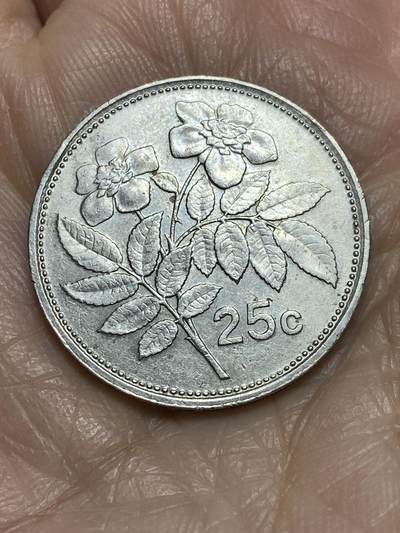 2025年第一百二十二场(总第一百四十八场）外国好品散币(免佣金) - 马耳他🇲🇹1991年25分(盾徽版)