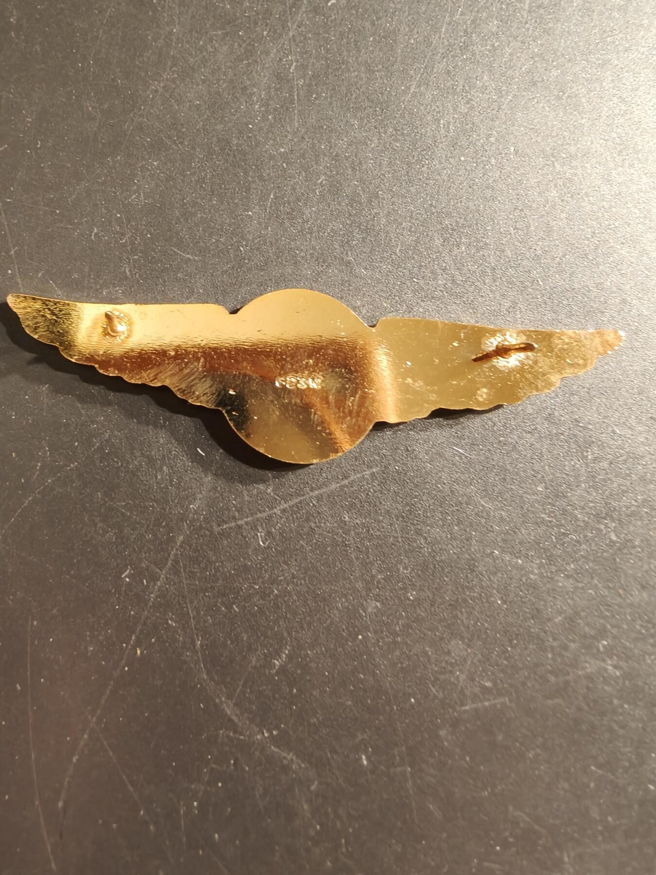 老王徽章第161期