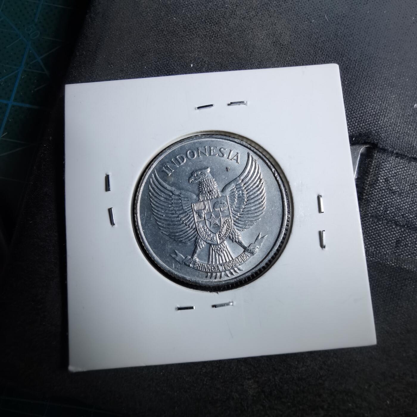 沼泽如烟--第892场