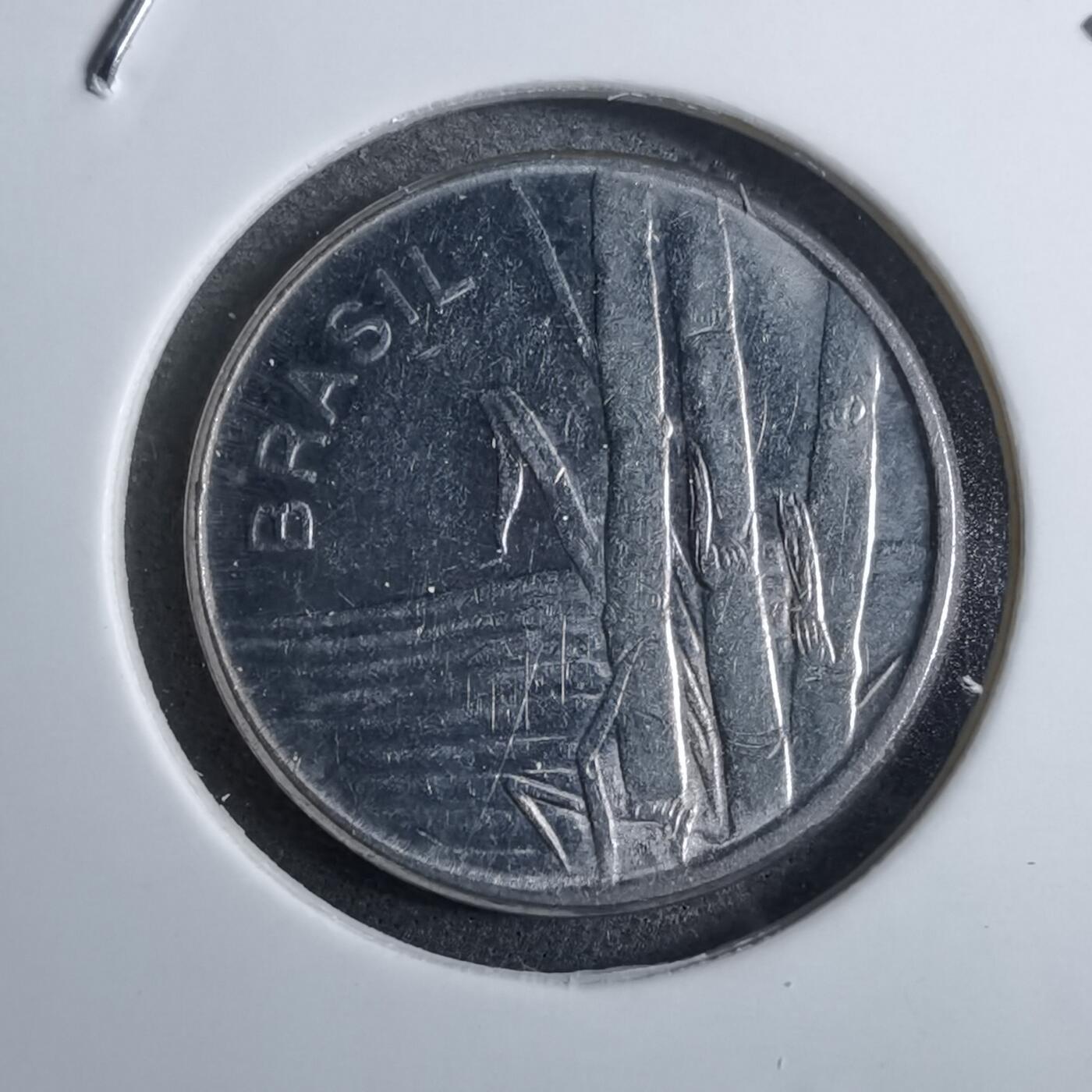 沼泽如烟--第892场