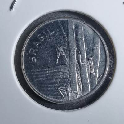 沼泽如烟--第892场 - 巴西1980年1克鲁塞罗