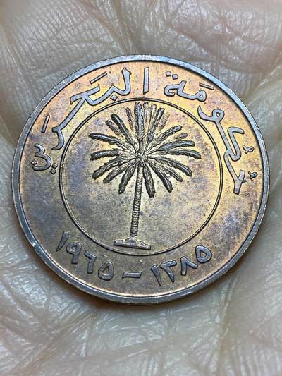 2025年第一百二十三场(总第一百四十九场）外国好品散币(免佣金) 巴林🇧🇭1965年10费尔