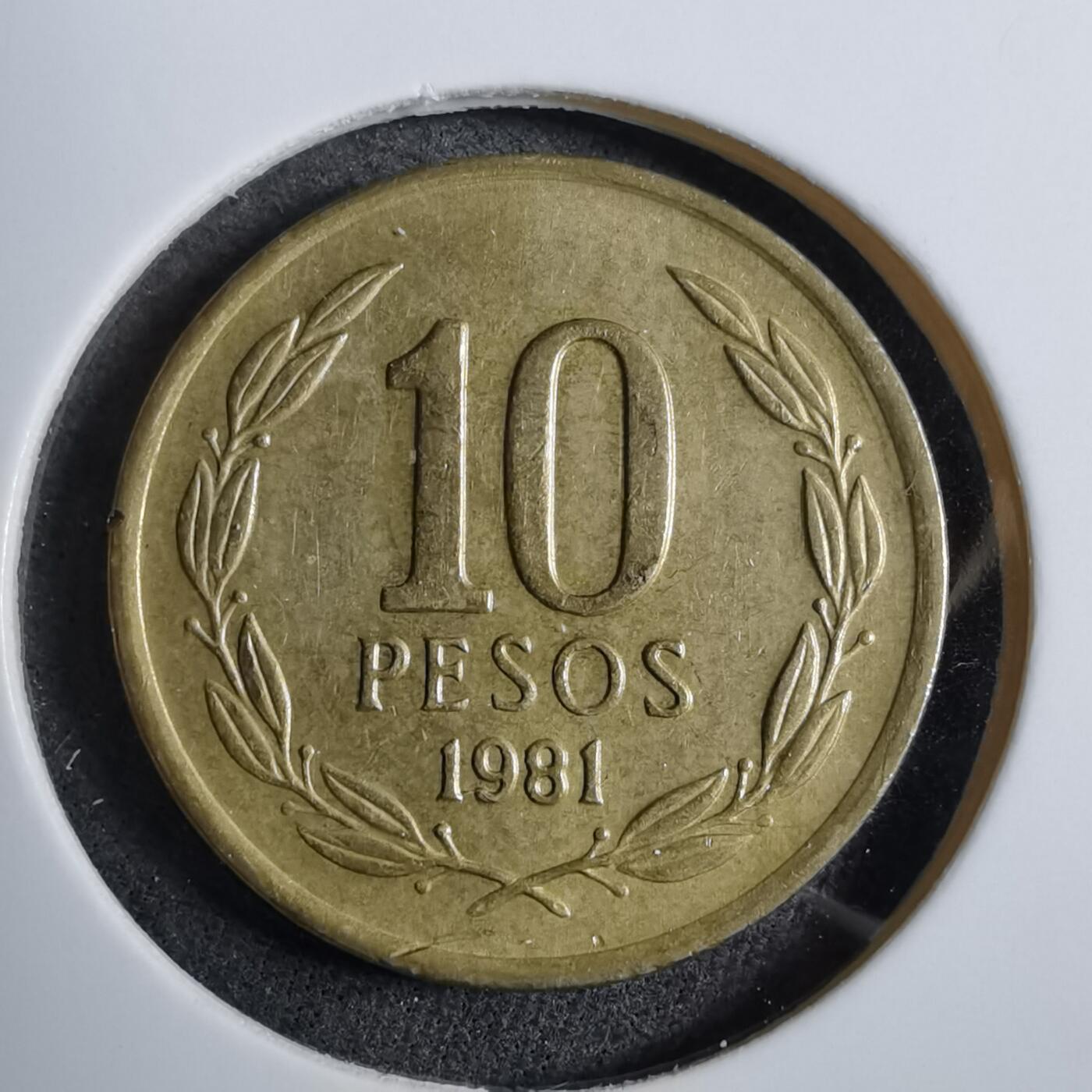 沼泽如烟--第892场