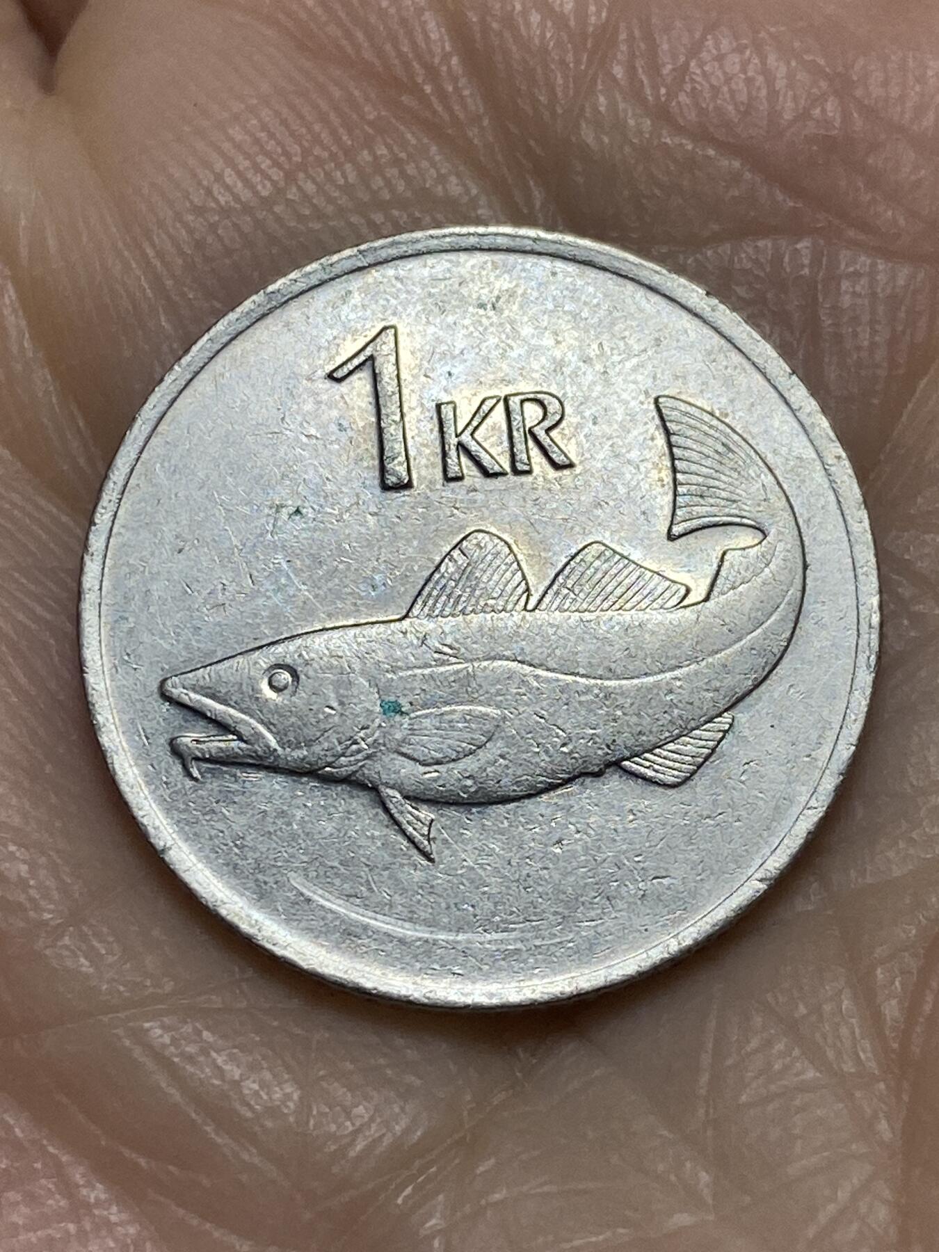 2025年第一百二十二场(总第一百四十八场）外国好品散币(免佣金) 冰岛🇮🇸1981年1克朗(共和国时期第二套第一版，铜镍材质无磁版，首发年)