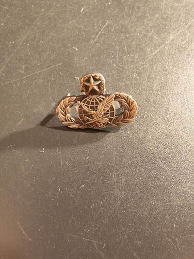 老王徽章第161期 - 美国空军气象学家高级技能章    晚礼服尺寸