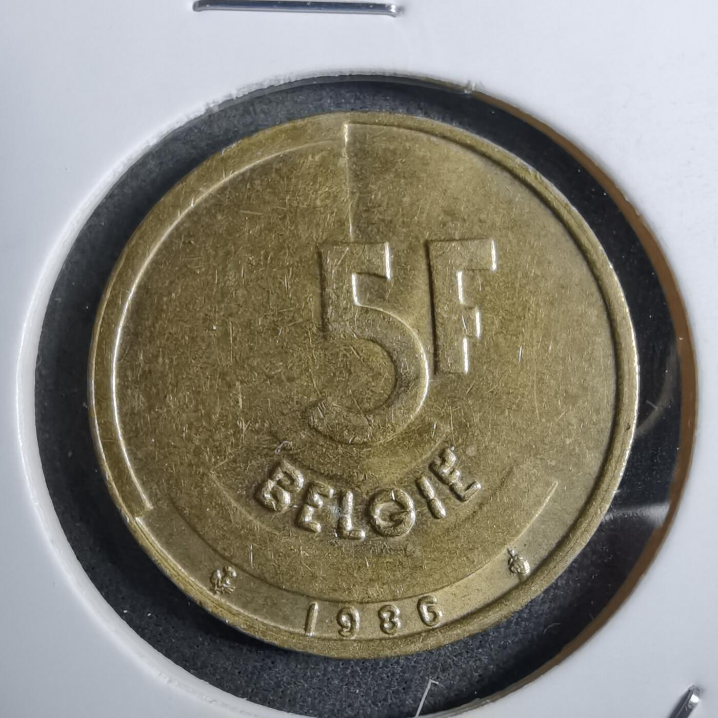 沼泽如烟--第892场