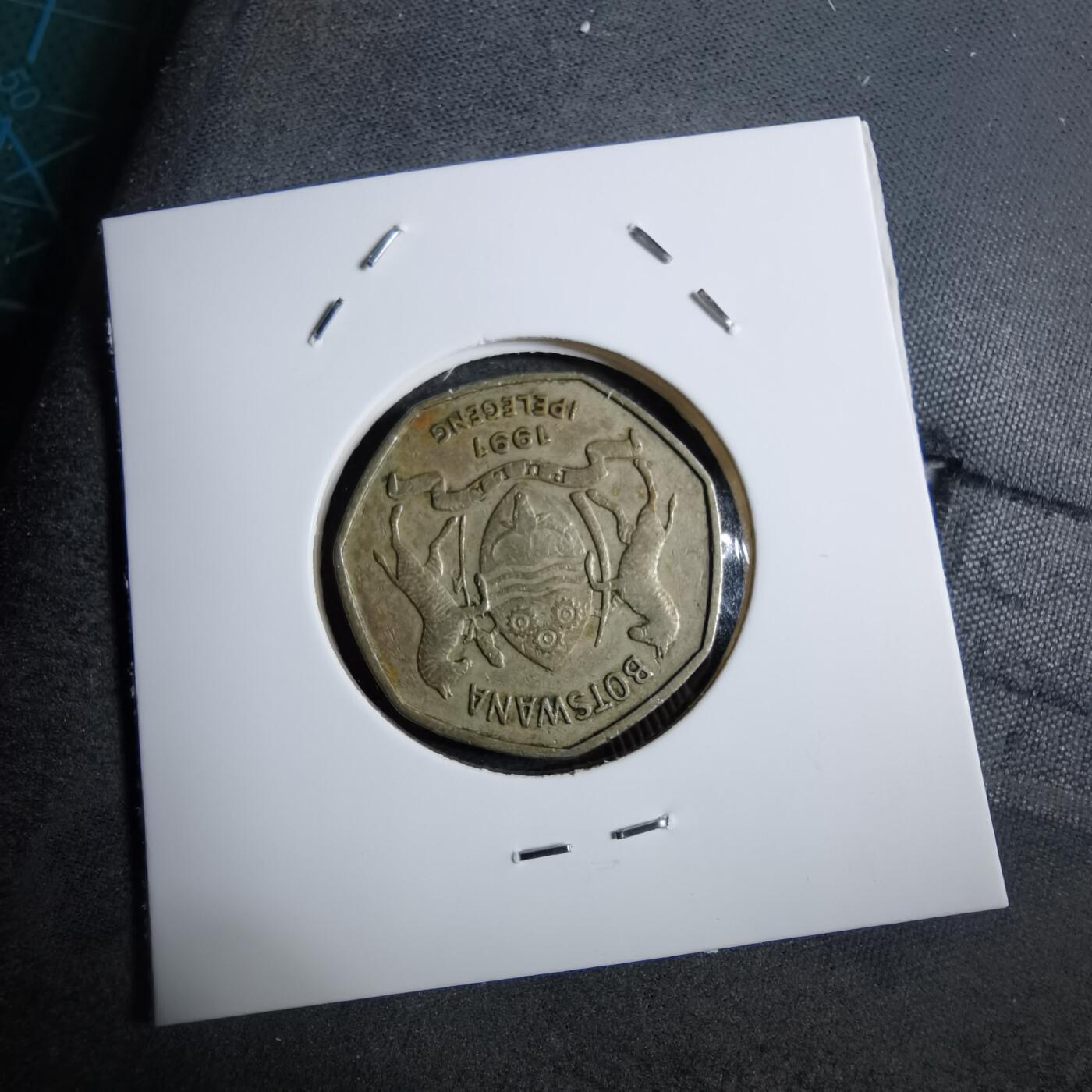 沼泽如烟--第892场