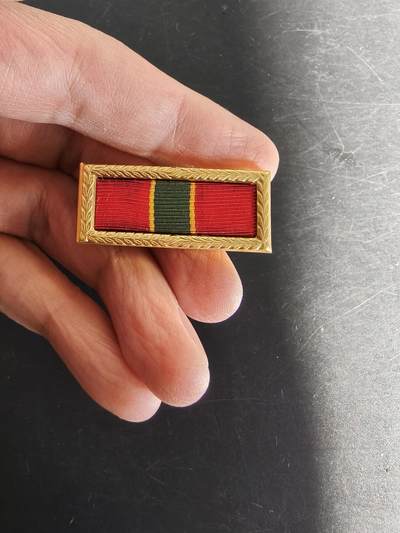 老王徽章第161期 - 美国陆军优秀单位集体嘉奖勋略