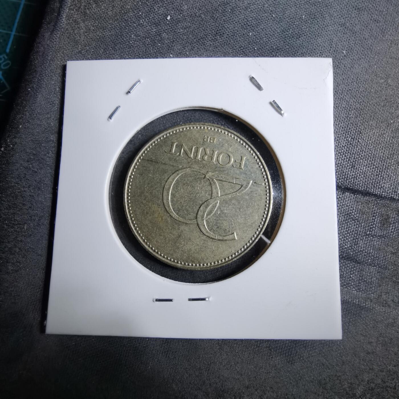 沼泽如烟--第892场