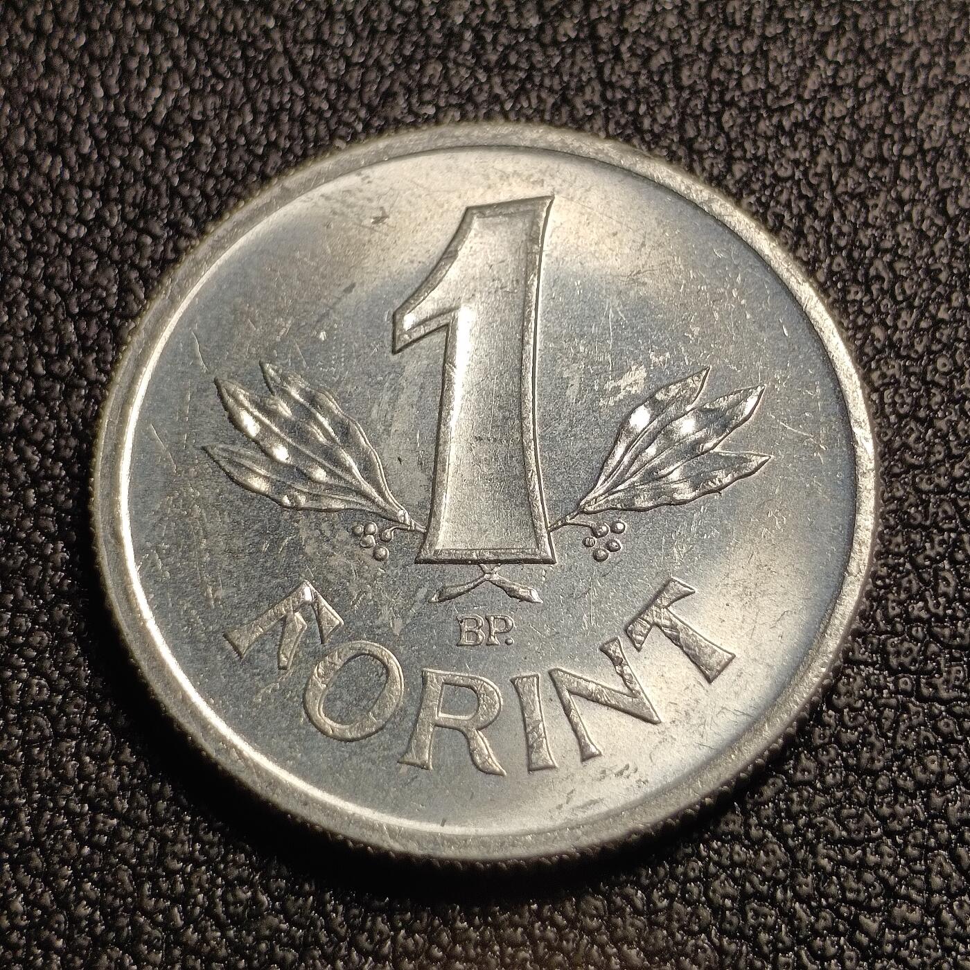 泉币菌-第127场-精品福利场(115场之后的本周末发货，感谢理解) 原光极美 匈牙利1983年 1福林铝币 硬币23.5mm