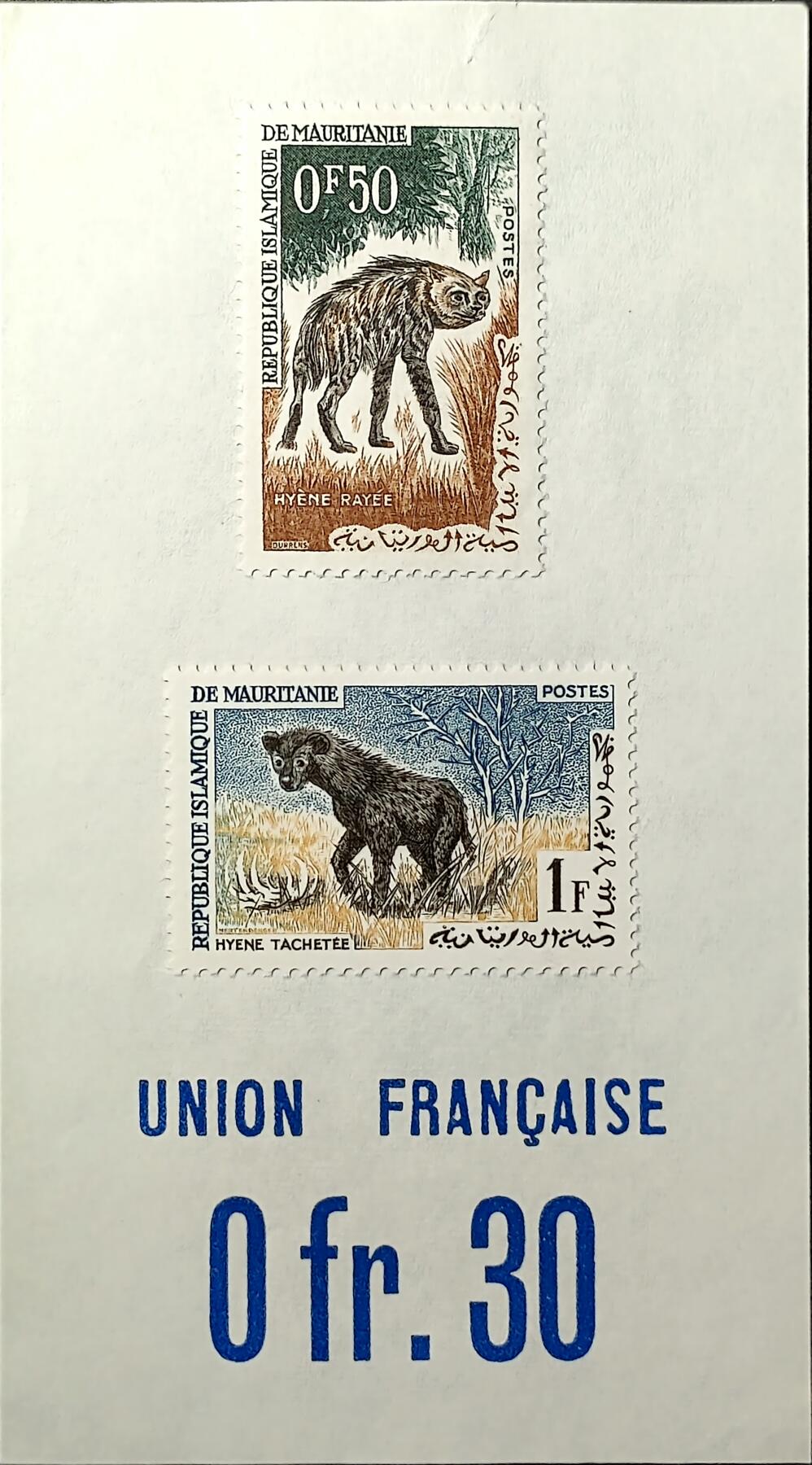 ↓君缘收藏643期☞钱币邮品↓无佣金、可寄存、满30元包邮  毛里塔尼亚邮票，1963年动物 条纹鬣狗 斑鬣狗雕刻版贴票