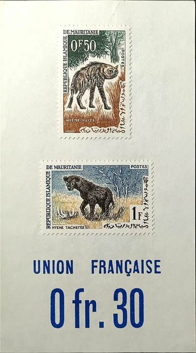 ↓君缘收藏643期☞钱币邮品↓无佣金、可寄存、满30元包邮  - 毛里塔尼亚邮票，1963年动物 条纹鬣狗 斑鬣狗雕刻版贴票