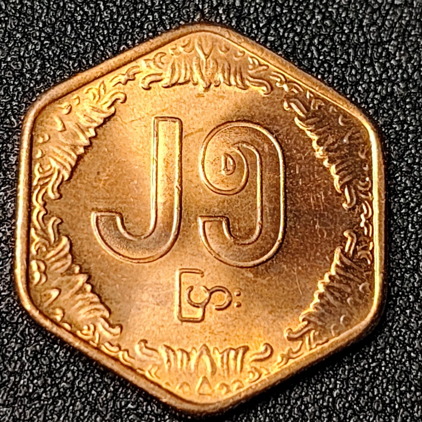 泉币菌-第125场-126场 并场 精品福利场(115场之后的本周末发货，感谢理解) 。