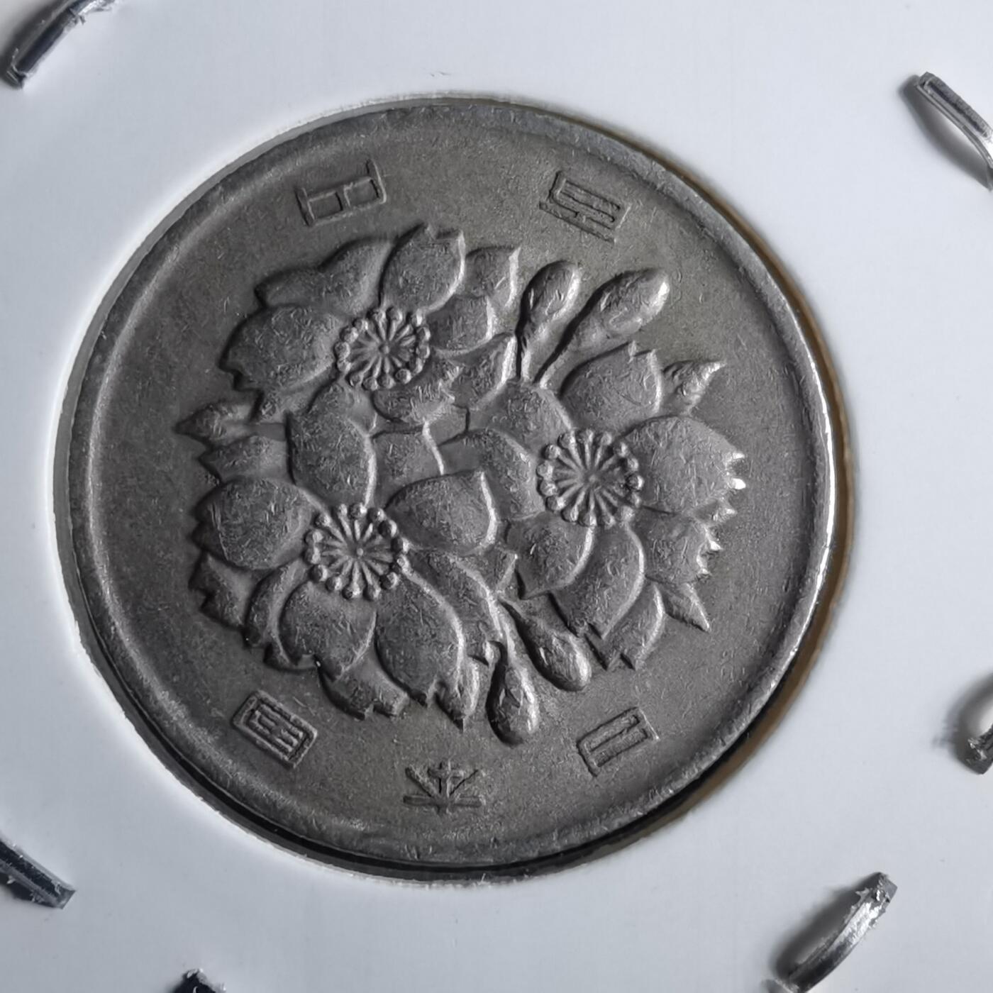 沼泽如烟--第891场