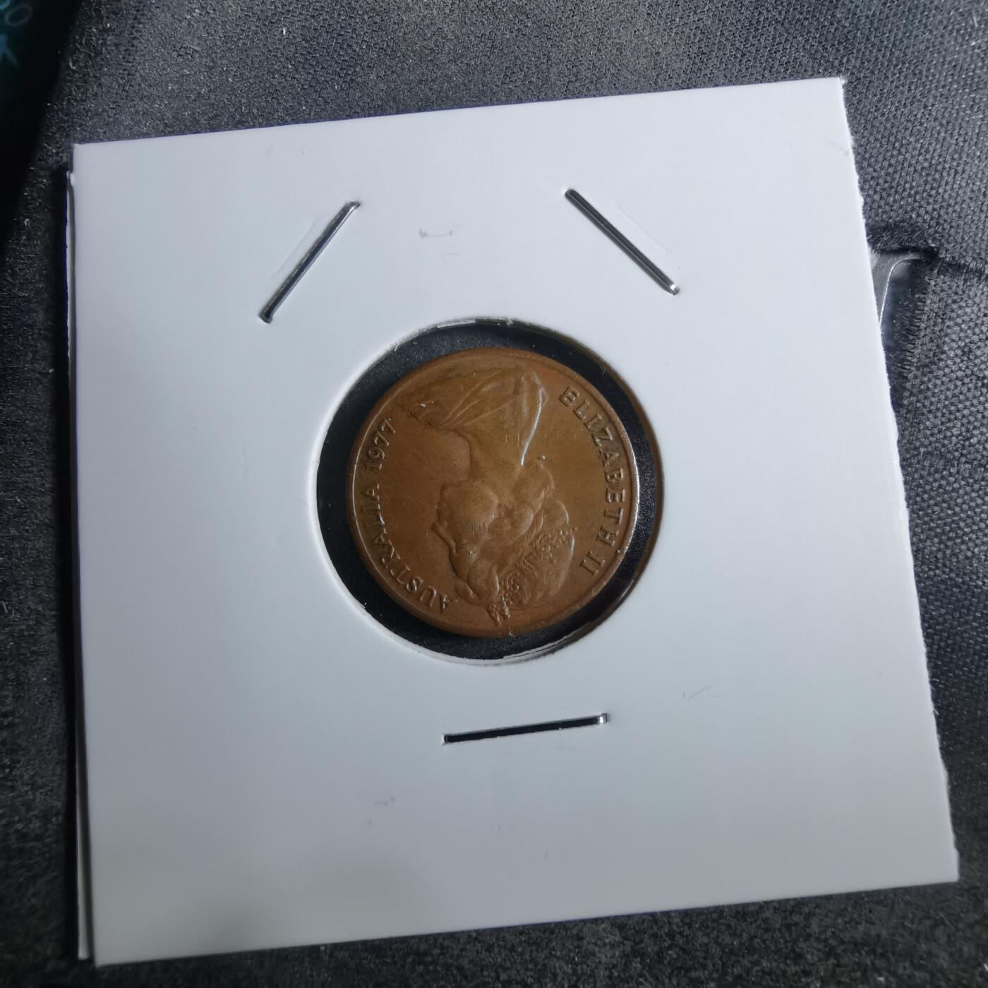 沼泽如烟--第892场